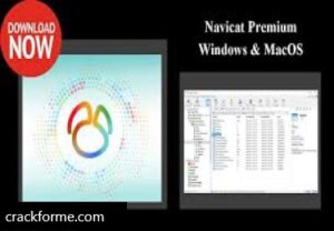 Navicat Premium 16.2.0 Crack + License Key (2022) Free Download Latest